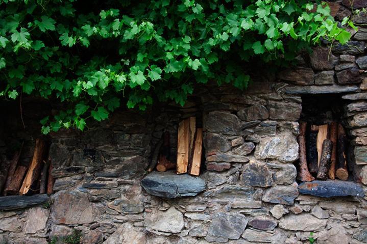 Can Coderch Hotell Ribes De Freser Exteriör bild